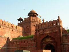 Red Fort, Delhi image