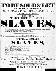 Slave Sale Poster image